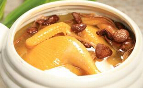 茶樹(shù)菇燉雞湯